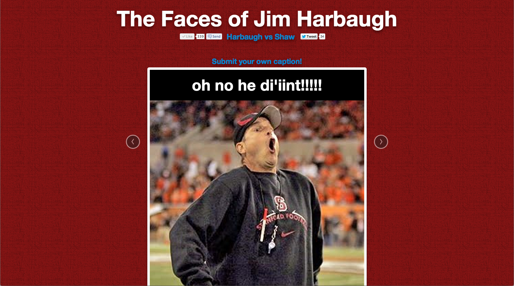 Faces of Harbaugh image 3